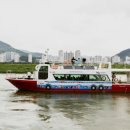 나비 게임장 이미지