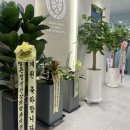 정선연세외과의원 | 배드민턴 허리통증 치료 후기 (과천연세정형외과, 지정타한의원, 정강이 피로골절)