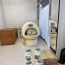 온진힐링