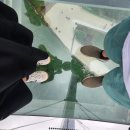 완산-교동-비상-040 | 북한까지 보이는 최북단스카이워크 "교동도 화개정원"