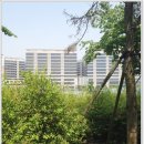 산빛 근린공원 이미지