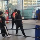 복싱그자체 이미지