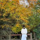 칠성민박 | 엄마랑 제주여행 제주도 가을 단풍 천왕사 제주도 사찰