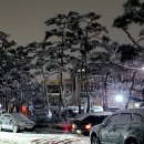 구룡2통 이미지