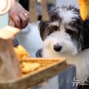 (주)경기사료 이미지