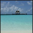 푸른바다 이미지