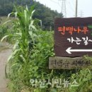 두동편백마을 익산시민뉴스