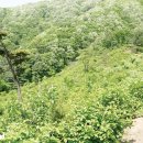 산이농원 이미지