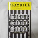 라이프케어스 | [브로드웨이 뮤지컬 리뷰] 비틀쥬스 (Beetlejuice) 2025/11/26