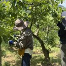 사천농장 이미지