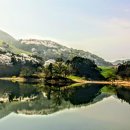 용현태양광발전소 이미지