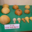 부천물박물관 Daum카페
