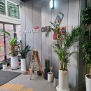 강남-224 이미지