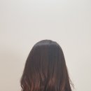 모이모이 이미지