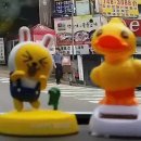 라이온셀프세차장 이미지