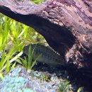 중앙교통㈜ | [한국] 플레이아쿠아리움 부천 - 250315