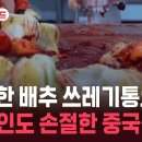 “배추 다 버렸다” 중국인도 외면…외신 “오랜 관행” [잇슈 키워드] / KBS 2026.08.27. 이미지