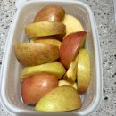 이화자연약국 | 공연장에서 가수 라이브를 볼 때 우리 뇌에서는 어떤 일이 일어날까