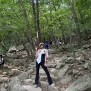 승희슈퍼 | 룰루레몬 하이라이즈 플레어드 팬츠 부츠컷 레깅스 2년 착용 솔직 후기 키큰녀 레깅스 추천