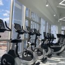 클리어짐 이미지