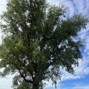 빠담목장 이미지