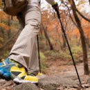 건강한생활 이미지