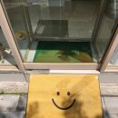 사월의 그루밍 이미지