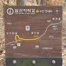 앞산자락길 이미지