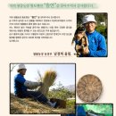 뜰안에황토