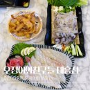 대흥2차A 경로당 | 대전 대흥동 오징어와친구들 오징어회 4번세트 내돈내산 2차 술집