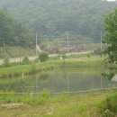 시온농장 이미지