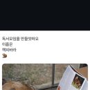 일취 이미지