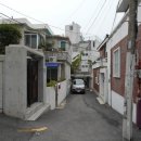 서구-01-11 이미지