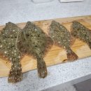 대부리 방파제 옆 이미지