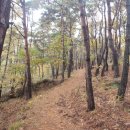 장성호 수변트레킹길 주차장 이미지