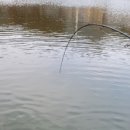 신암밧데리 이미지