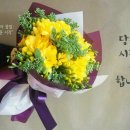 화요일 - 강릉시 범일로 601 | 화요일