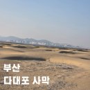 사구해수욕장2 | 부산 뚜벅이 여행 다대포해수욕장 사구 모래언덕 사막체험 아이랑 가볼만한 곳