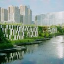 속리산숲체험휴양마을 이미지