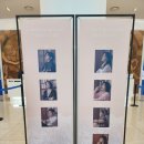 다이어리] 대구문화예술회관 팔공홀 1층 C구역 1열 1번 시야 후기 한혜진, 임수향, 강해진, 신예서 배우님