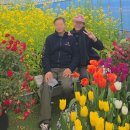 송이축제 문화유적탐방버스 | 강진청자축제에서 백련사와 다산초당까지, 봄을 건너 걷다