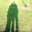 태종대유원지 제6호 공중화장실(전망대) | 을숙도, 을숙도 철새공원 가을 편(feat. 을숙도 주차장, 화장실, 핑크 뮬리)