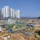 현곡농장 이미지