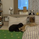 송암한의원 | 월간뭉갱-2026.2월