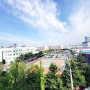 망포정직한공인중개사사무소 이미지