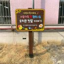 백산초병설유치원 이미지