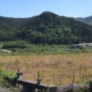 수월평경영 이미지