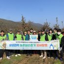 길안면행정복지센터 이미지