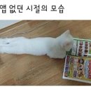 싸움의고수 이미지