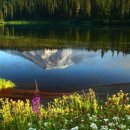 GS25 뉴성북 동아점 이미지